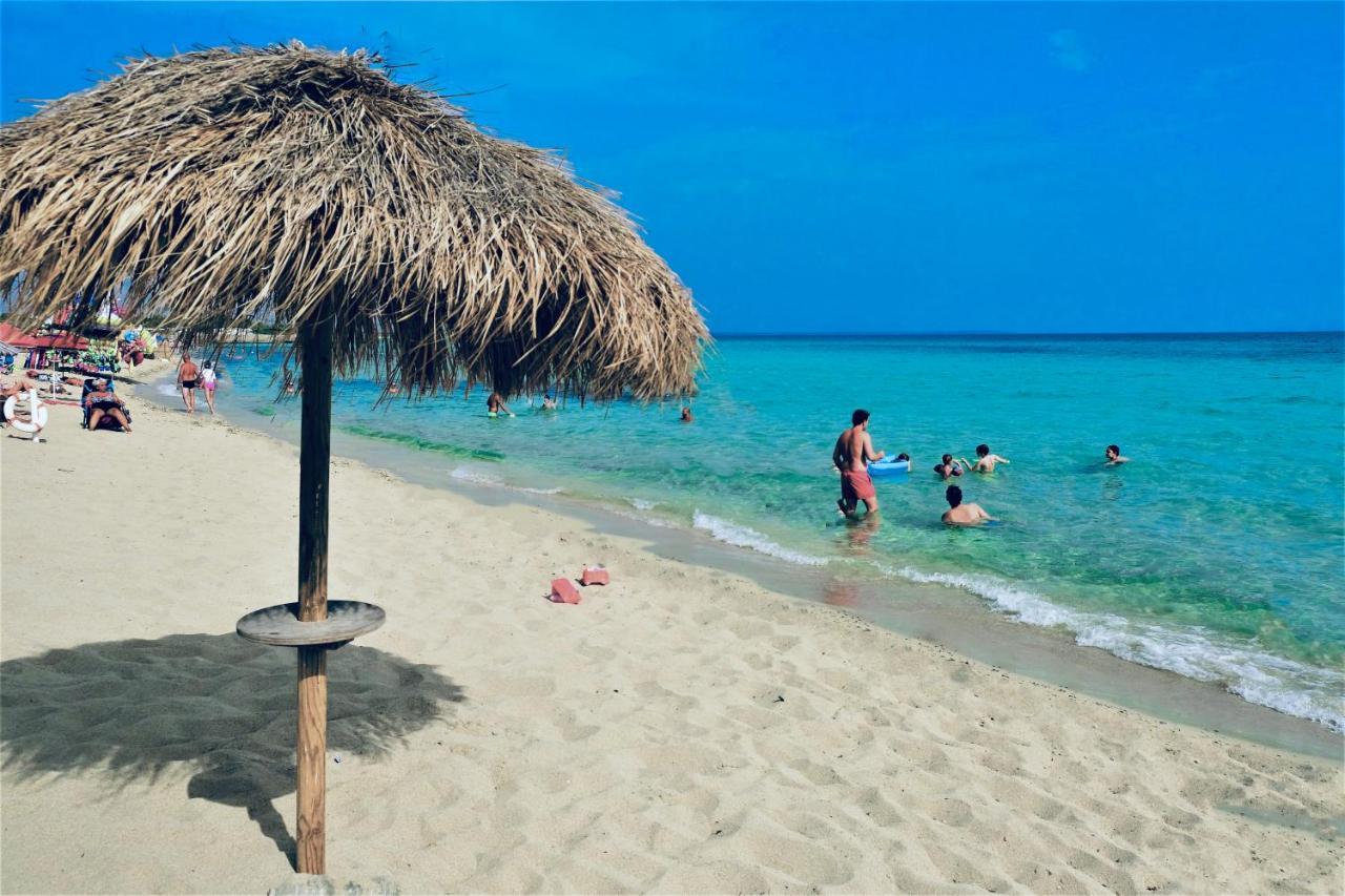 Da Casa Tiziana Otel Porto Cesareo Dış mekan fotoğraf