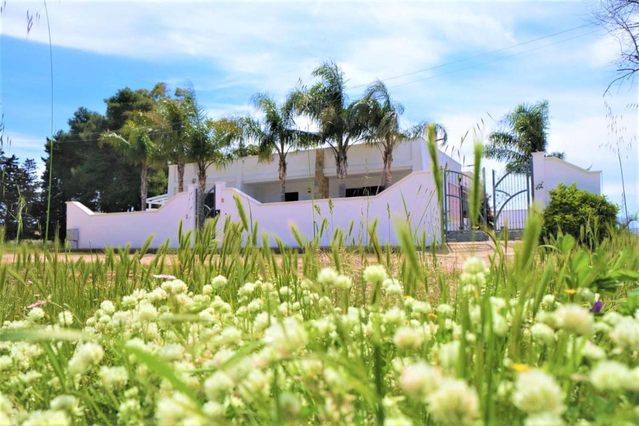 Da Casa Tiziana Otel Porto Cesareo Dış mekan fotoğraf